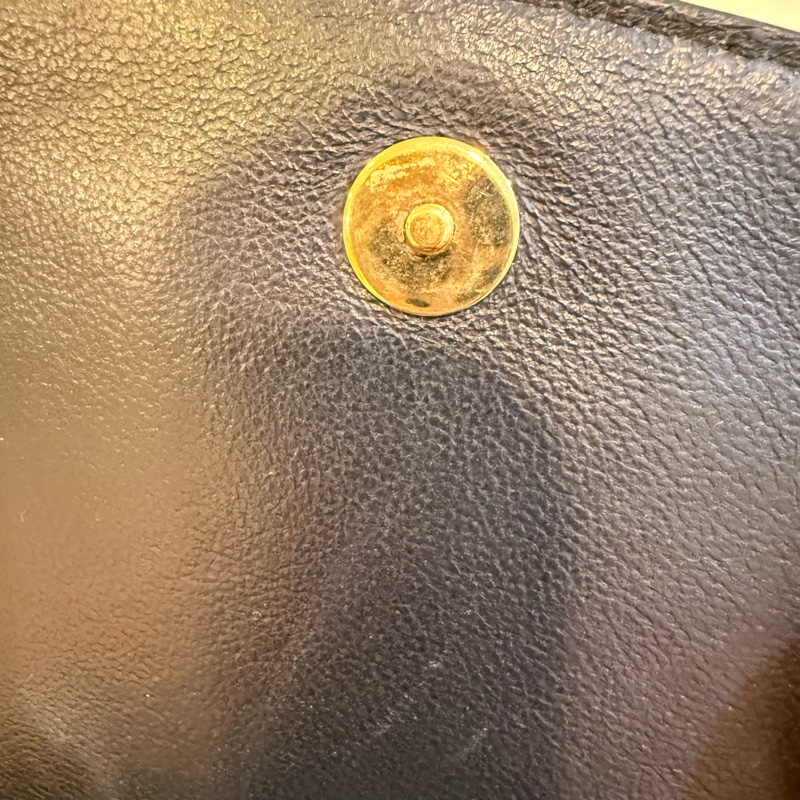 Celine Crecy bag 2019 Celine 小包包-29