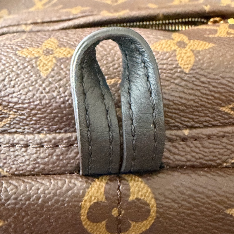 LV 小書包 後背包 老花 新款拉鍊 palm spring mini-10