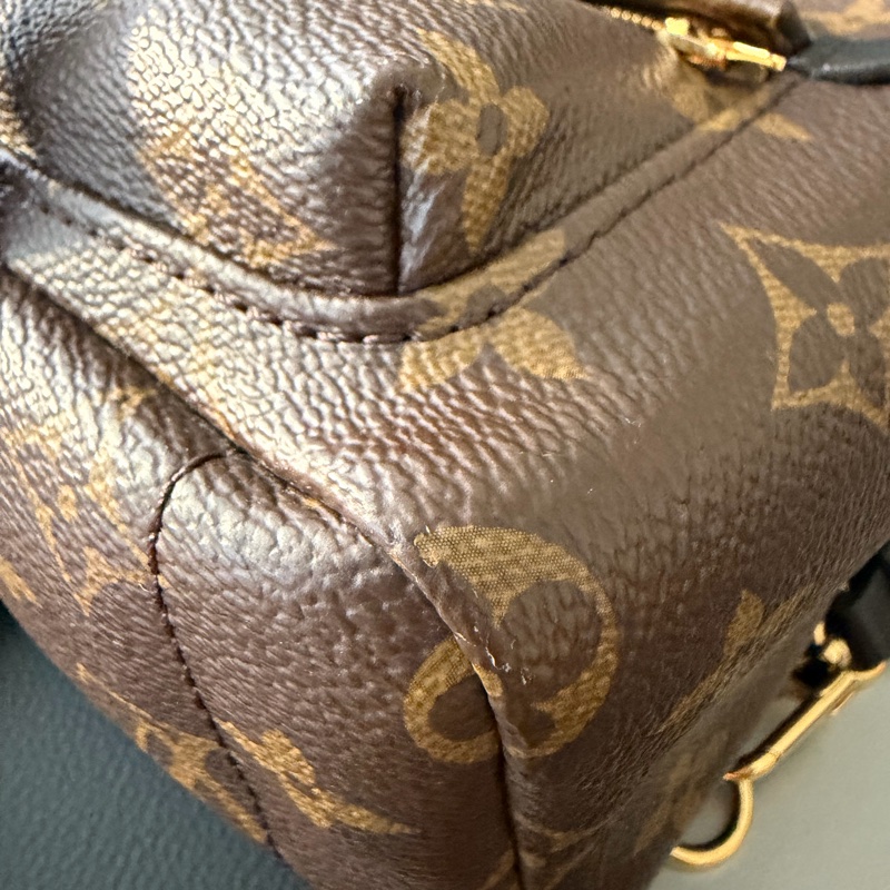 LV 小書包 後背包 老花 新款拉鍊 palm spring mini-11