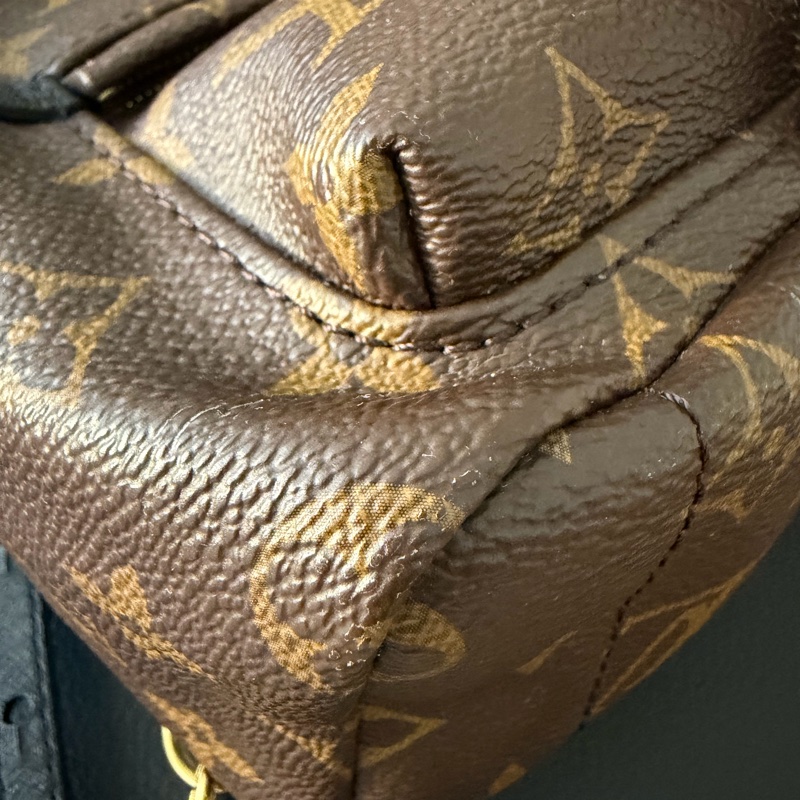 LV 小書包 後背包 老花 新款拉鍊 palm spring mini-12