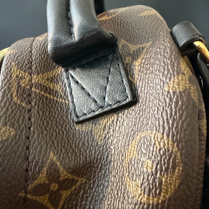 LV 小書包 後背包 老花 新款拉鍊 palm spring mini-14