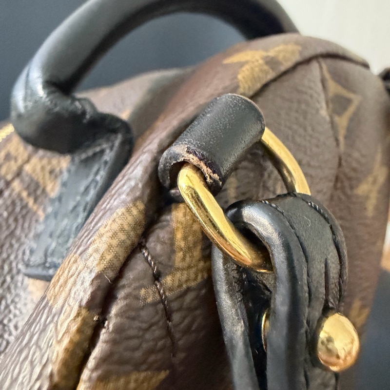 LV 小書包 後背包 老花 新款拉鍊 palm spring mini-15