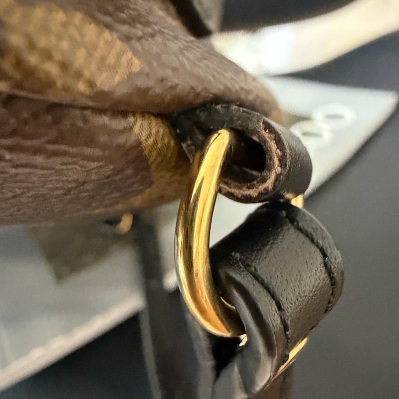 LV 小書包 後背包 老花 新款拉鍊 palm spring mini-16