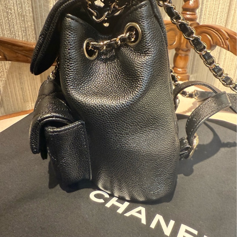 Chanel duma青蛙小号全新23p-8