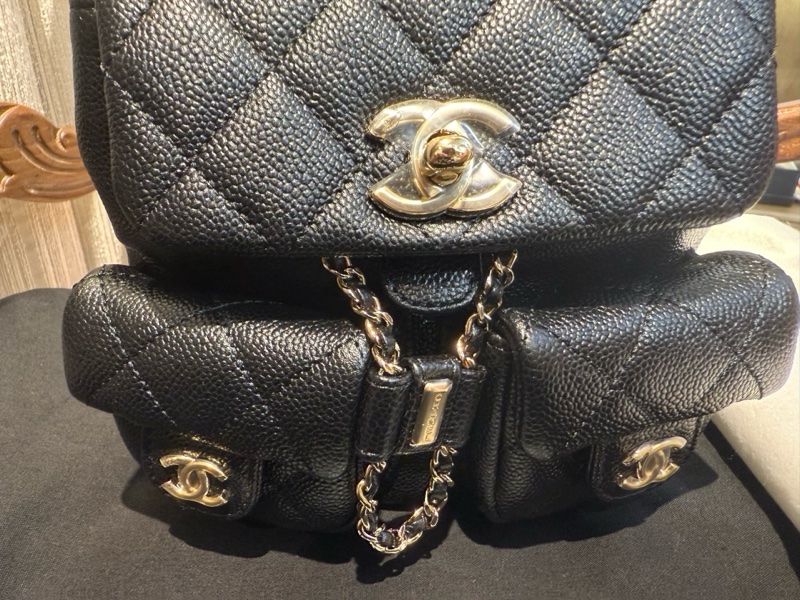 Chanel duma青蛙小号全新23p-9