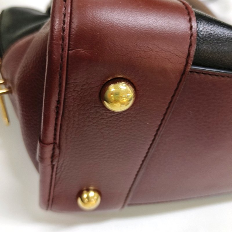 LOEWE Amazona 黑色牛皮手提包 金色五金-10