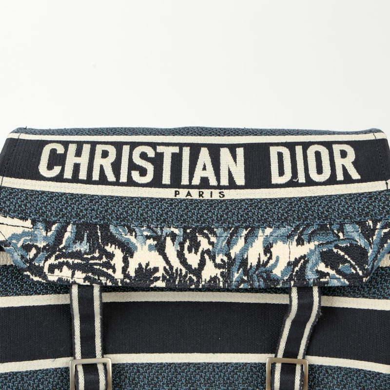 【包稅】DIOR 刺繡棕櫚樹圖案露營斜背包-2