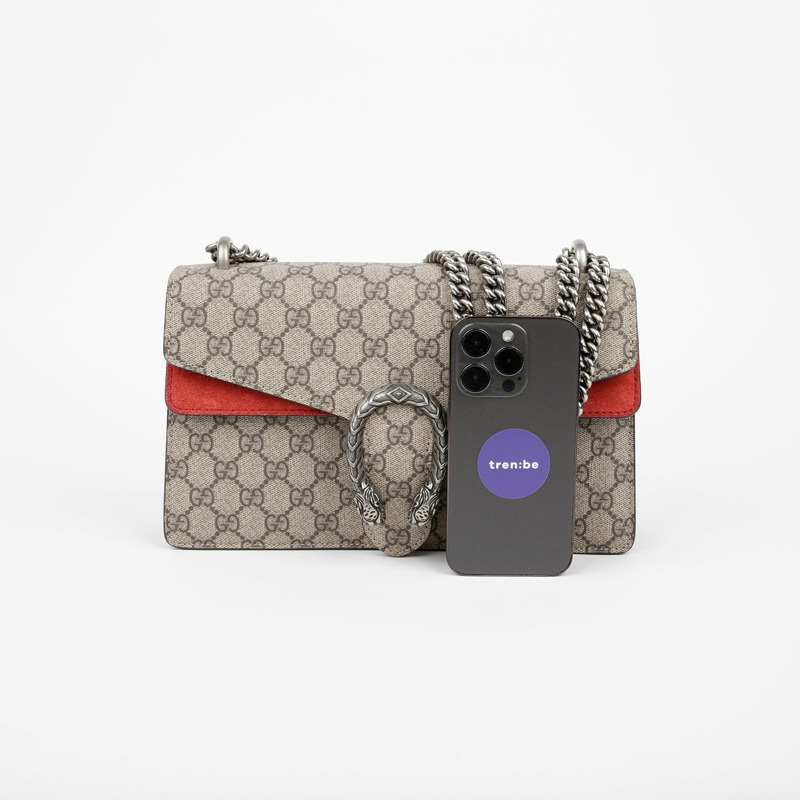 GUCCI Diodorus 小號鏈條單肩包 400249-4