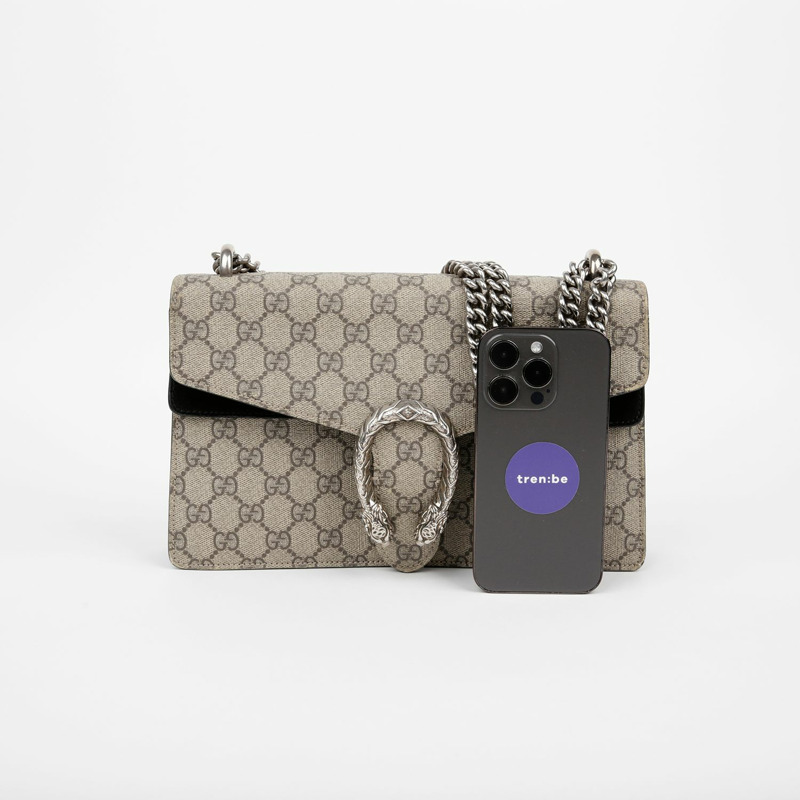 GUCCI Diodorus 小號鏈條單肩包 400249-13