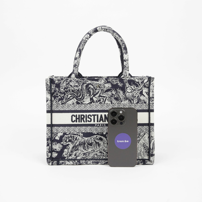 DIOR North Tote 小號手提包-8