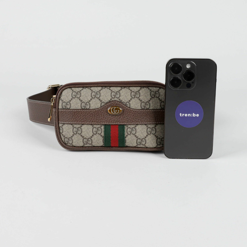 GUCCI 迷你 Ophidia 腰包-7
