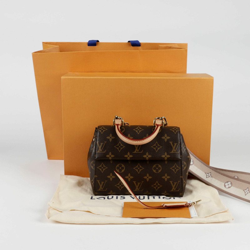 LOUIS VUITTON Cluny 迷你肩托特包-0