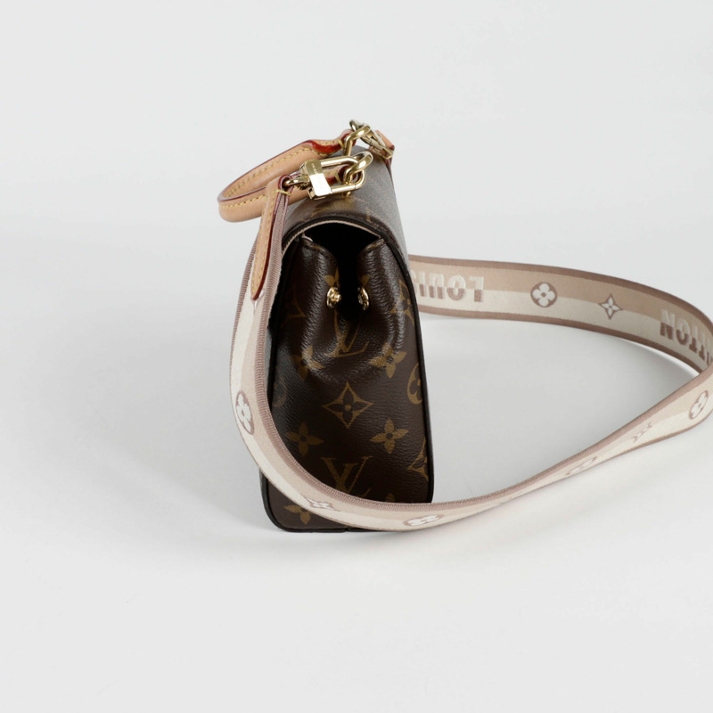 LOUIS VUITTON Cluny 迷你肩托特包-1