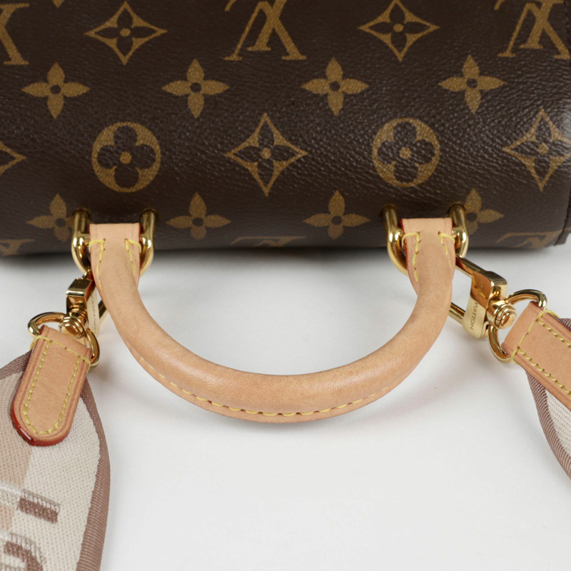 LOUIS VUITTON Cluny 迷你肩托特包-4