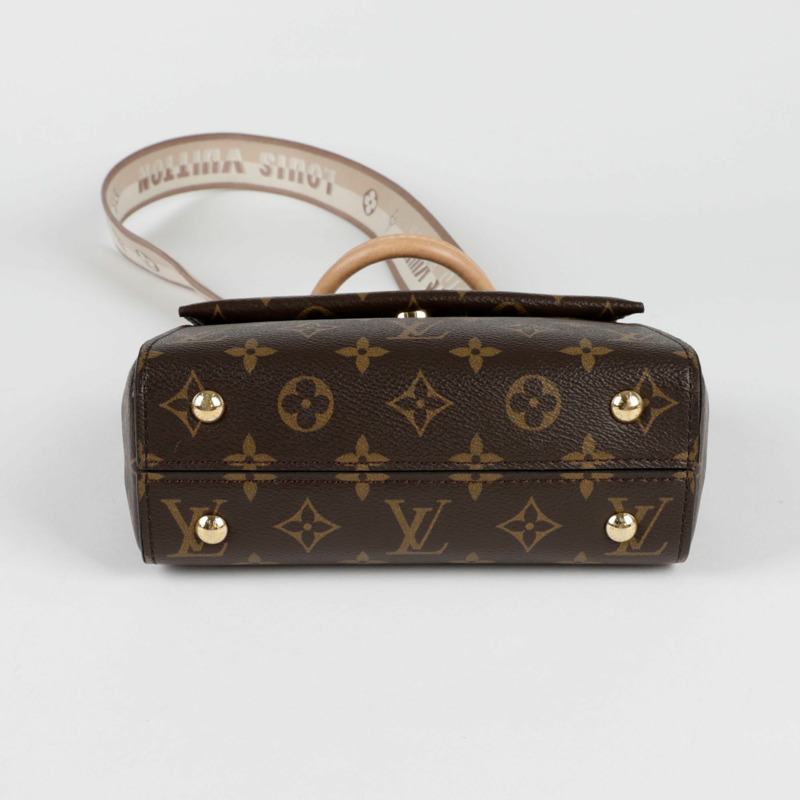 LOUIS VUITTON Cluny 迷你肩托特包-5