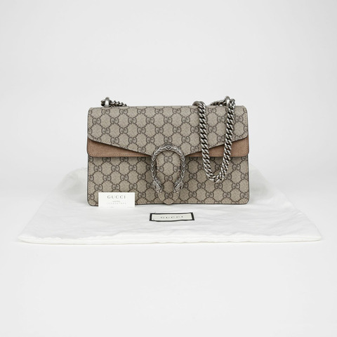 GUCCI Diodorus 小號鏈條單肩包 400249