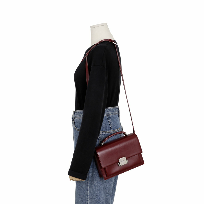 SAINT LAURENT Bellshazzar 中型托特單肩包-8
