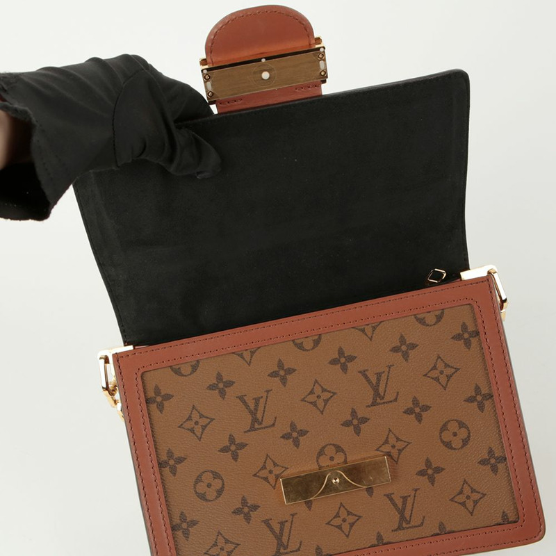 LOUIS VUITTON 海豚 MM 背包-8