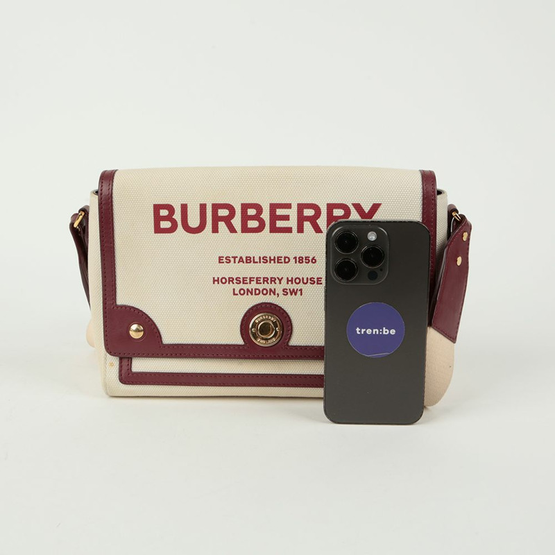 BURBERRY Hosperi 中單肩斜背包-10