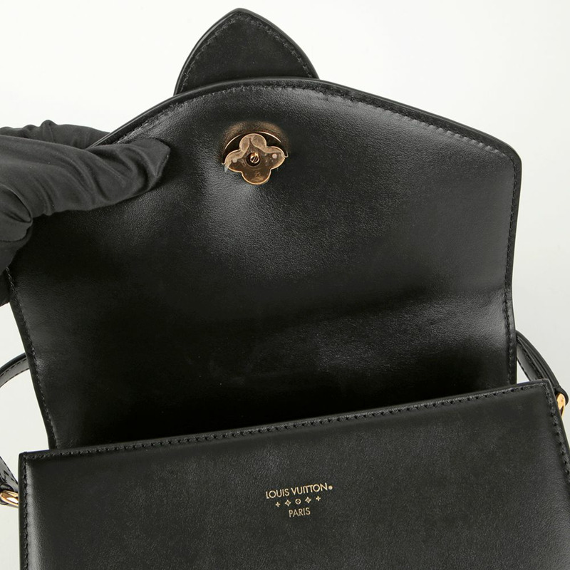 LOUIS VUITTON LV Pont Neuf 斜背包-9