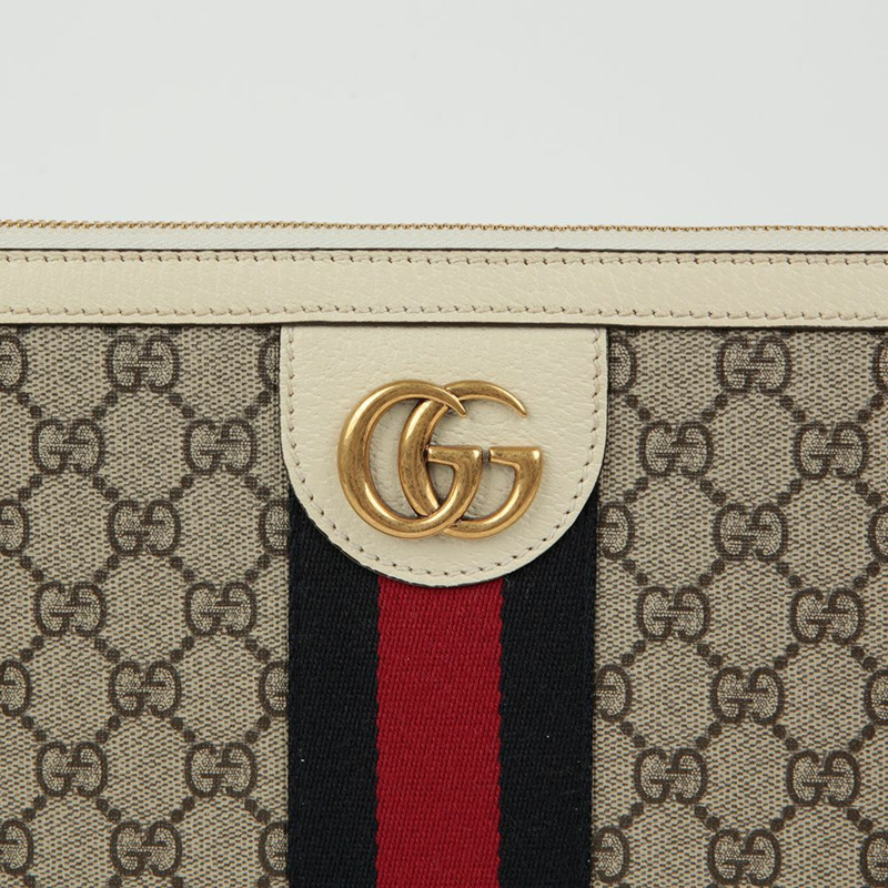 GUCCI Ophidia 投資組合案例-2