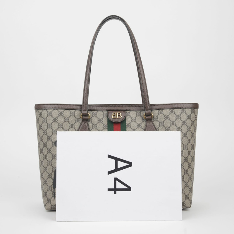 BALENCIAGA 駭客計劃 Ophidia 單肩包-5