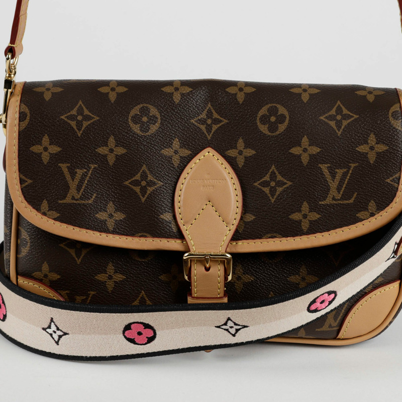 LOUIS VUITTON Diane 單肩斜背包-1