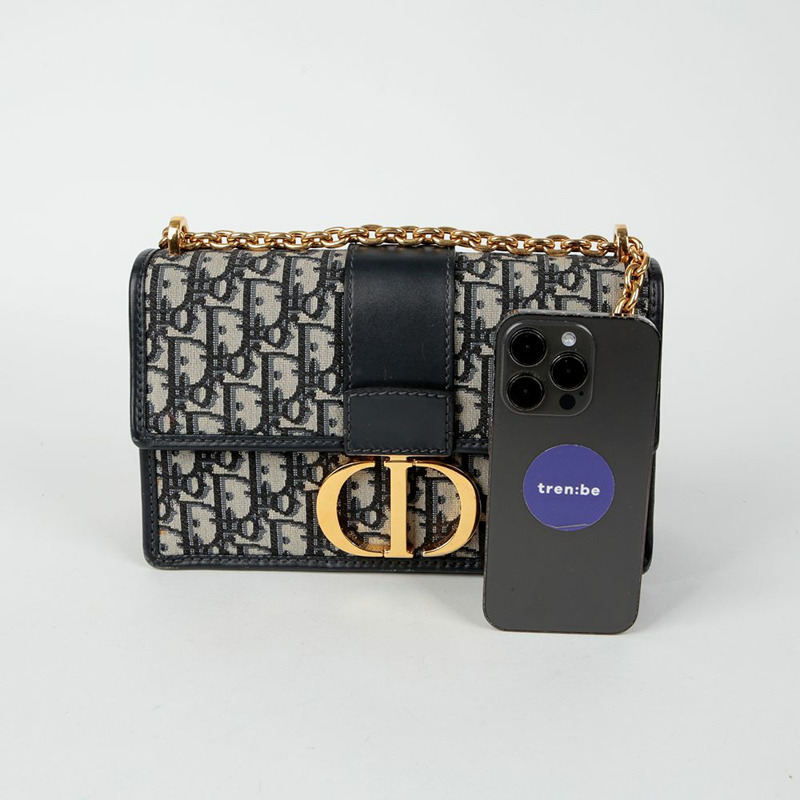 DIOR M9208UTZQ Mountain Chain 單肩斜背包-12