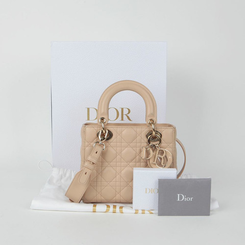 DIOR MY ABC 小型托特肩背包