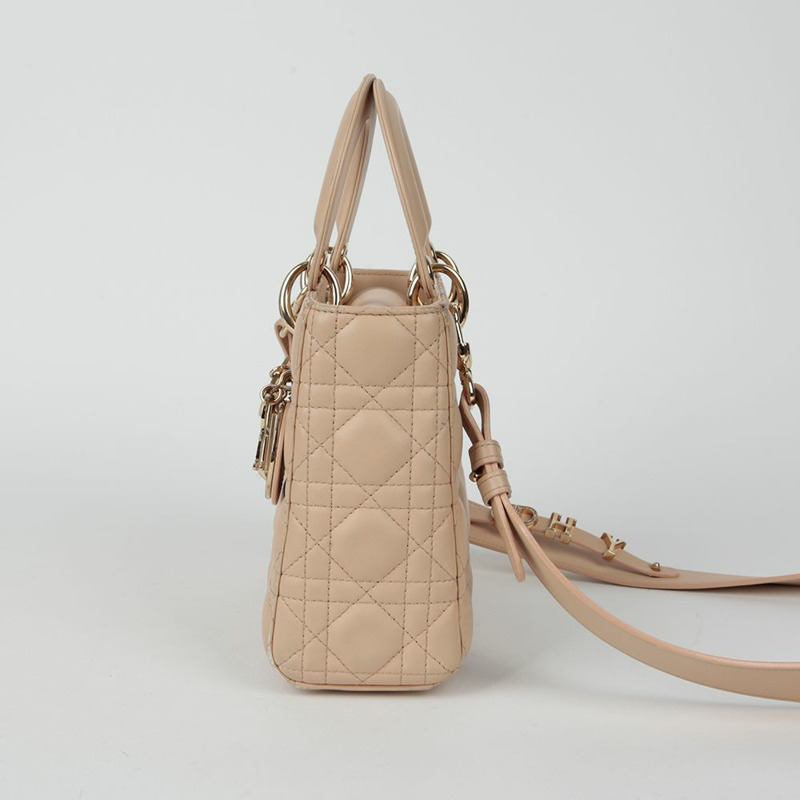 DIOR MY ABC 小型托特肩背包-4