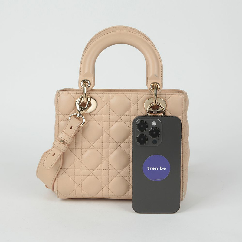 DIOR MY ABC 小型托特肩背包-12