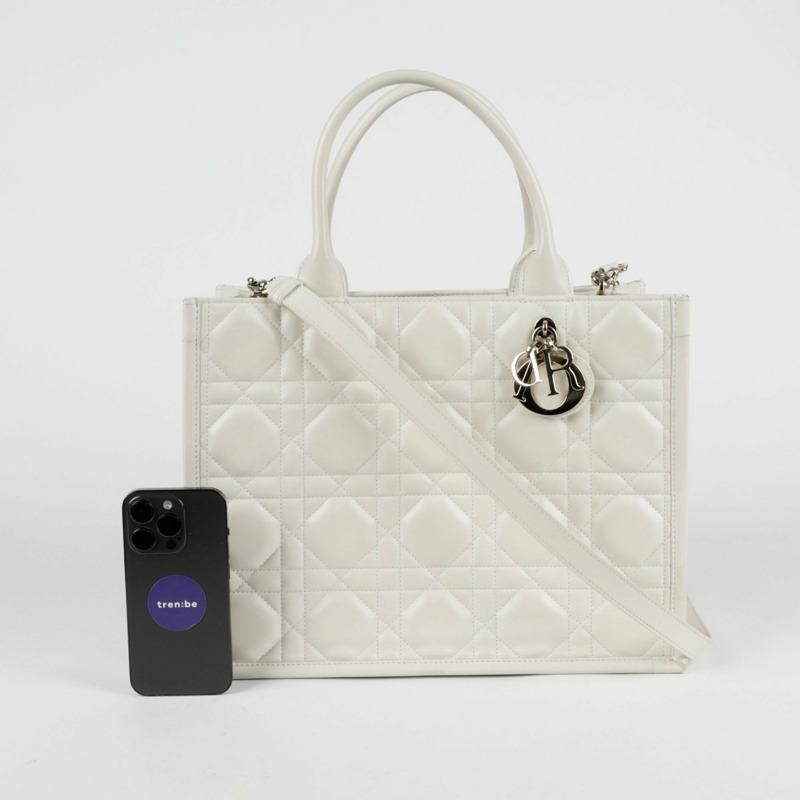 DIOR M1324OWHP Book Tote 中型手提單肩包-17