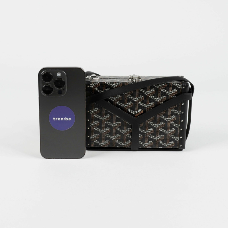 GOYARD Minodier Trunk 單肩斜背包-10