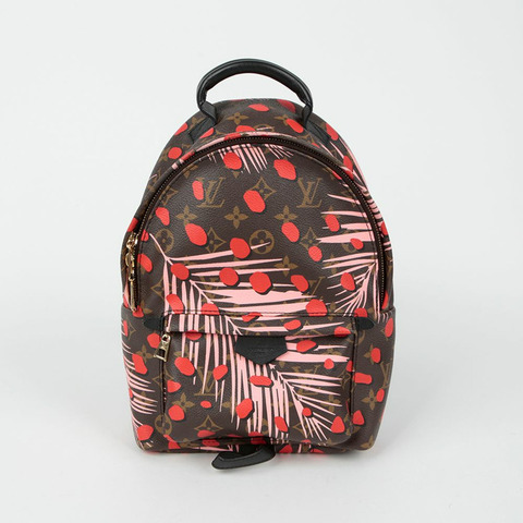 LOUIS VUITTON M41981 Palm Springs PM尺寸背包