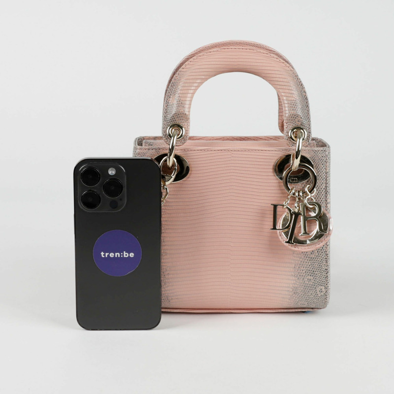DIOR 限量版蜥蜴皮迷你托特單肩包 M0505OLDD-7