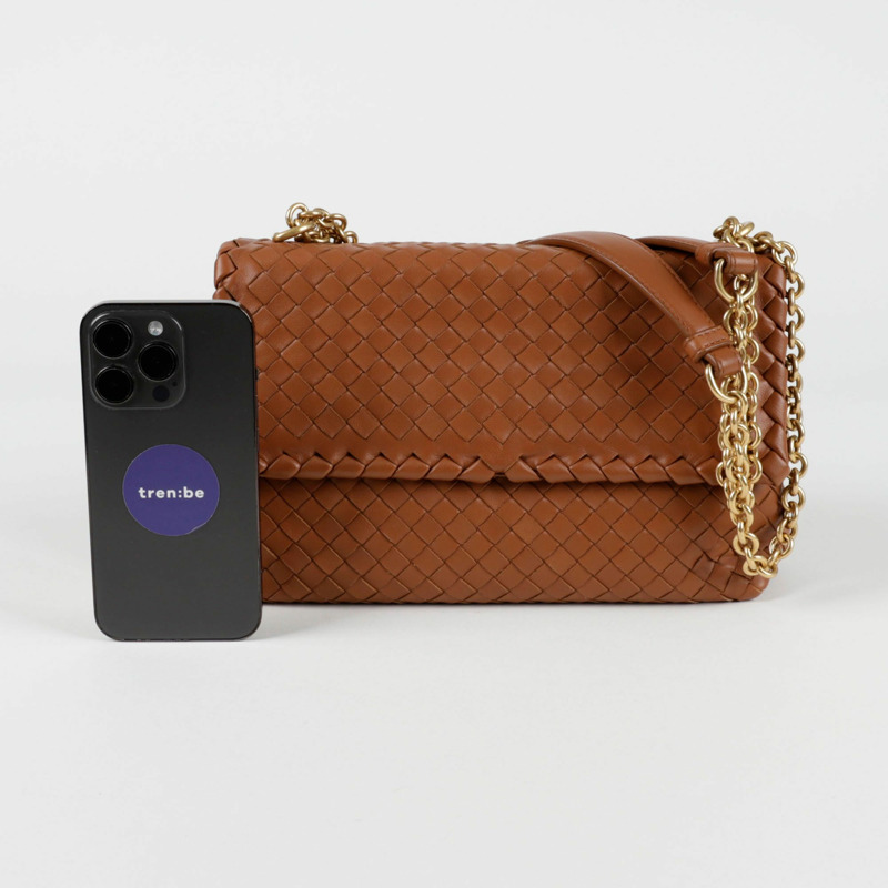 【包稅】BOTTEGA VENETA Olimpia 小號肩斜背包 386498-6