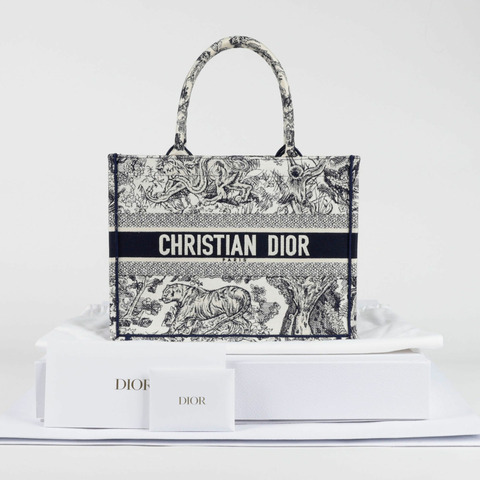 DIOR M1296ZTDT 中型書包