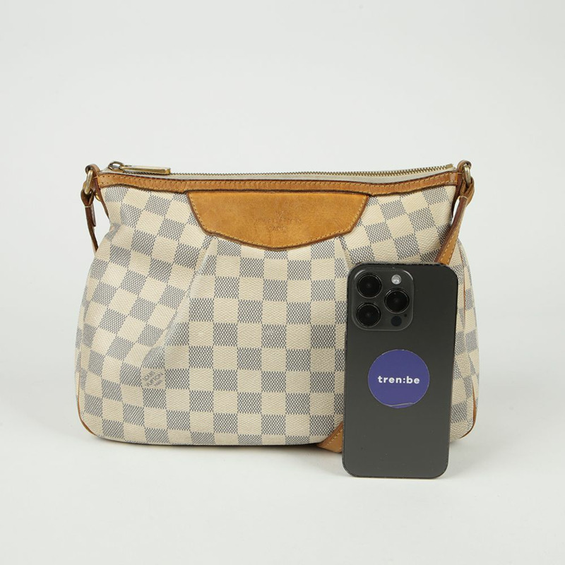 LOUIS VUITTON N41113 Siracusa PM 單肩背包-13