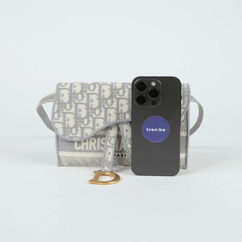 【包稅】DIOR S5647CRIW 馬鞍形超薄腰包-8