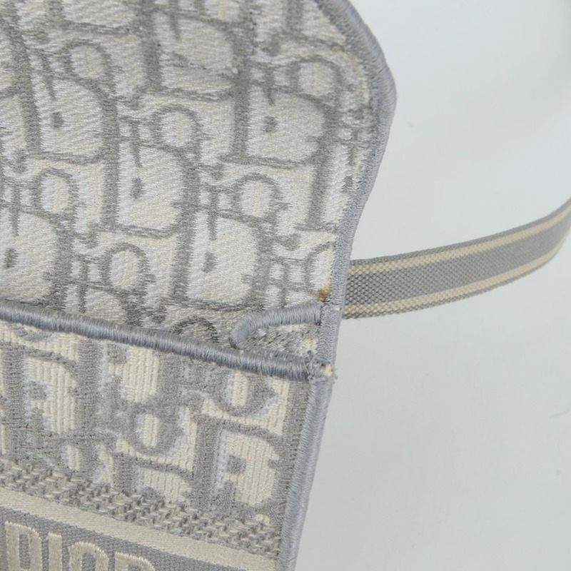 【包稅】DIOR S5647CRIW 馬鞍形超薄腰包-11