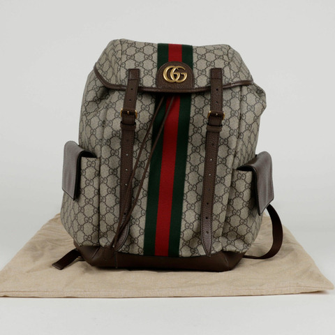 GUCCI Ophidia GG 中型背包 598140