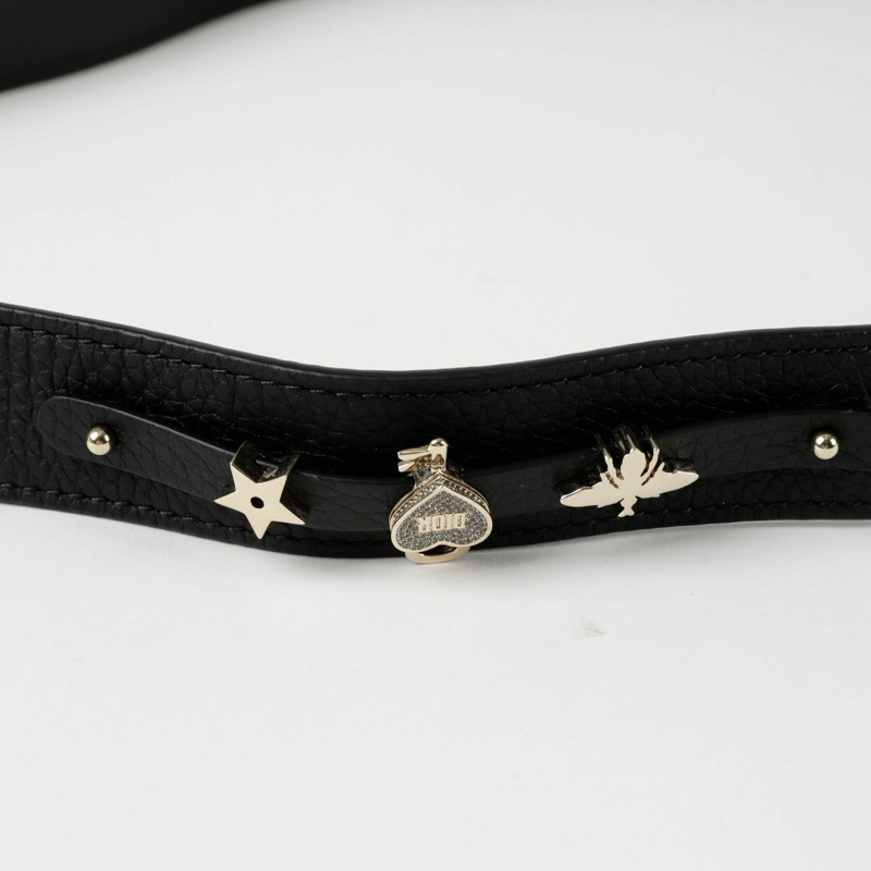 【包稅】DIOR M1151OTRL Lady de Sayer MY ABC 中型手提單肩包-5