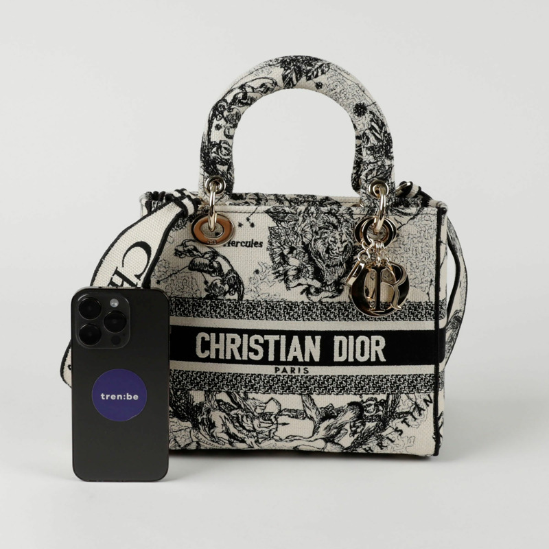 DIOR M0565ORHZ Lady Di Light 中型托特單肩包-8