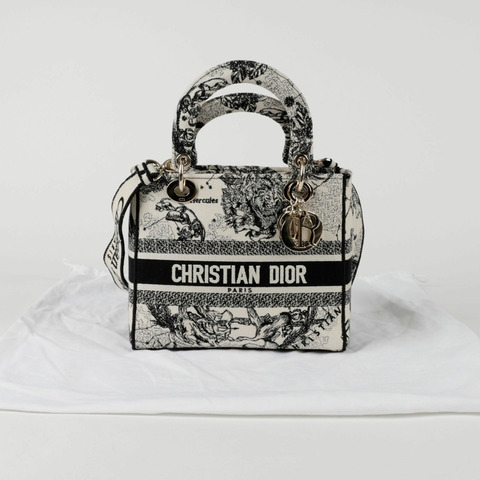 DIOR M0565ORHZ Lady Di 輕量中型手提單肩包