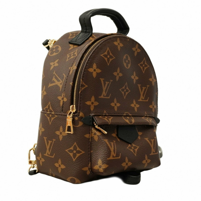 Louis Vuitton Monogram Palm Springs 女士雙肩包 MINI M44873 棕色和黑色-1