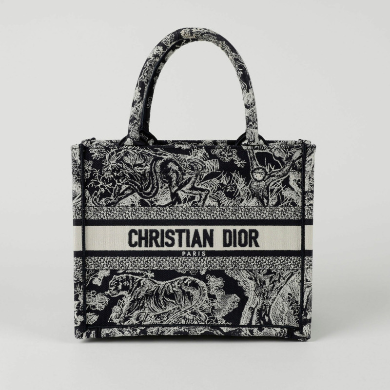 DIOR M1265ZRGO North Tote 小號手提包-0