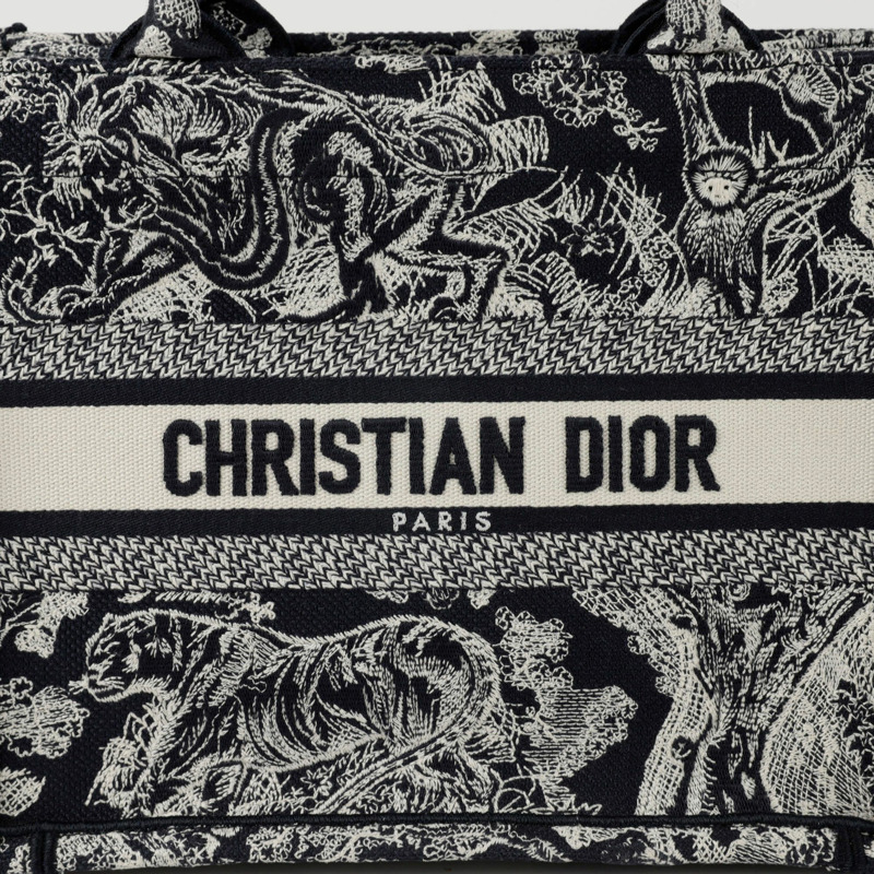 DIOR M1265ZRGO North Tote 小號手提包-1