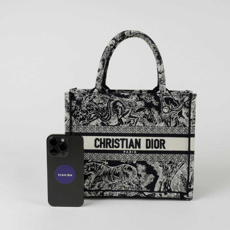 DIOR M1265ZRGO North Tote 小號手提包-7