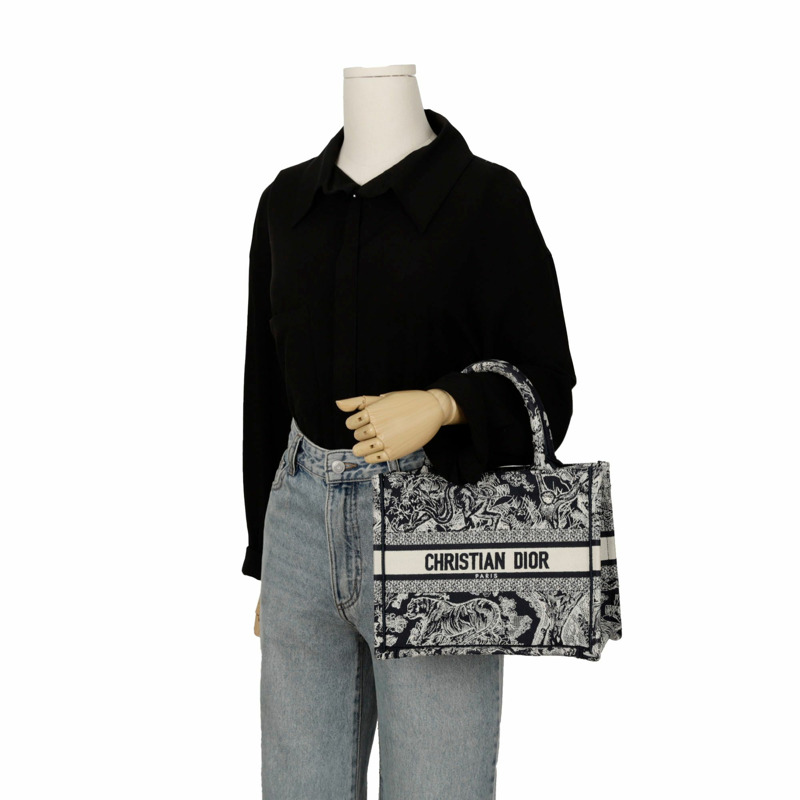 DIOR M1265ZRGO North Tote 小號手提包-9