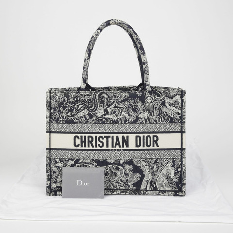 DIOR M1296ZRGO 中型書包手提袋
